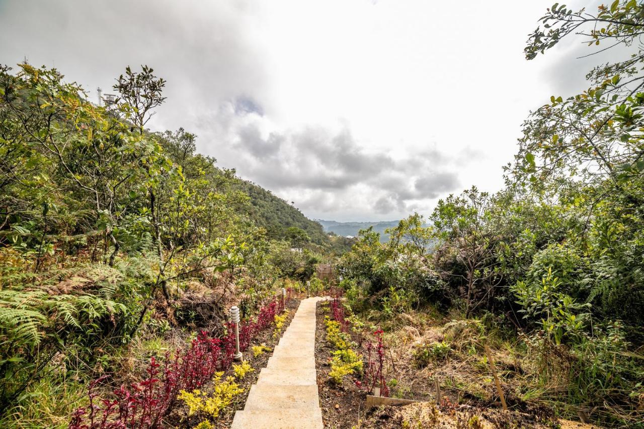 Cerro Verde Mirador Medellin Bagian luar foto